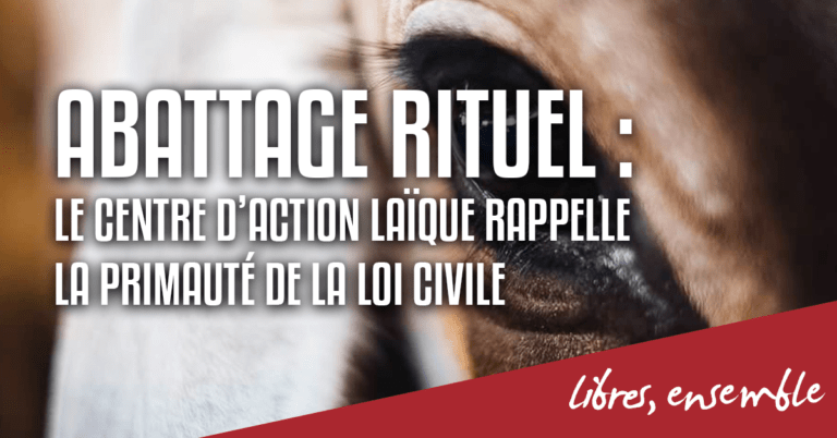 Abattage rituel : le Centre d’Action Laïque rappelle la primauté de la loi civile