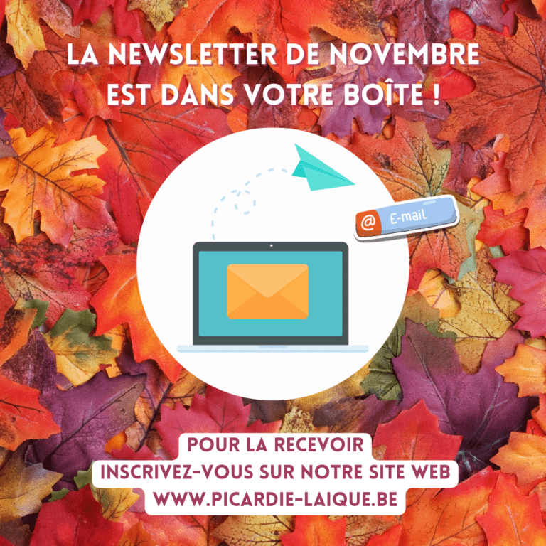 La newsletter de novembre est sortie ! Pas encore abonné.e ?