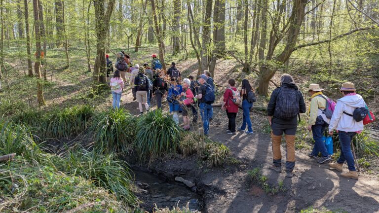 Une rando-philo, une première pour notre Labo Philo ! Festival Humanicité