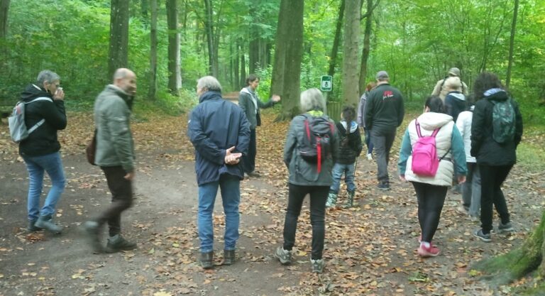 Qu&rsquo;est-ce que l&rsquo;éco-anxiété ? Balade Philo Nature