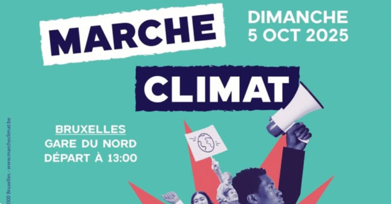 Marche pour le climat à Bruxelles