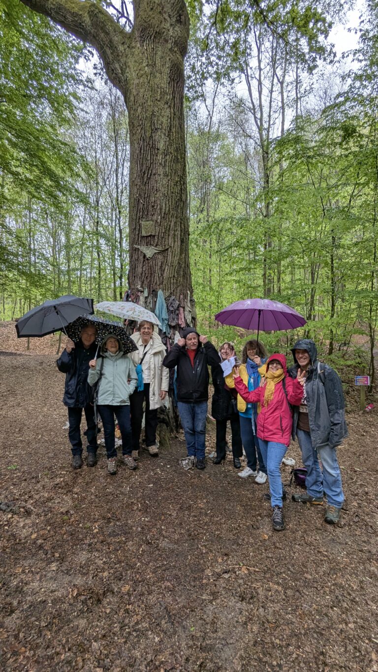 Les balades Philo Nature sont de retour !