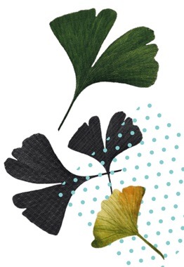 NOUVEAU ! Notre dépliant pour découvrir les cérémonies laïques