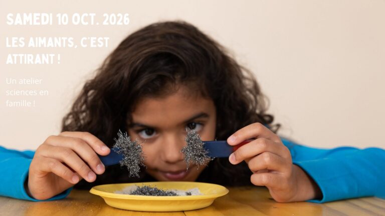 Sciences en famille : les aimants, c&rsquo;est attirant !