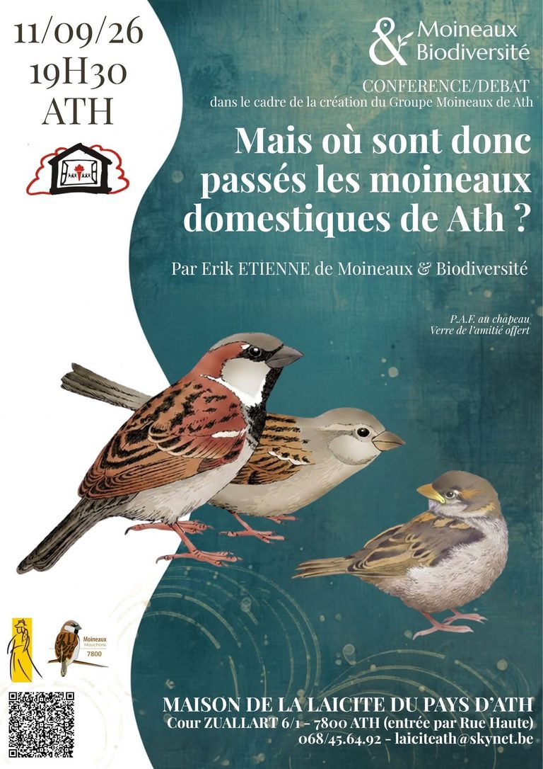 Conférence-débat « Mais où sont passées les moineaux domestiques d’Ath »