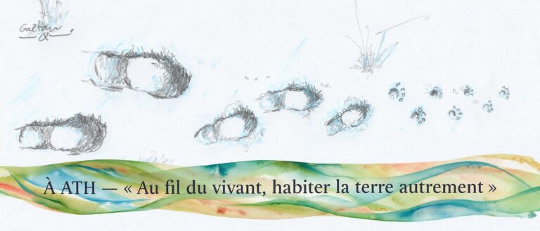 Parcours « Au fil du vivant, habiter la Terre autrement ! »