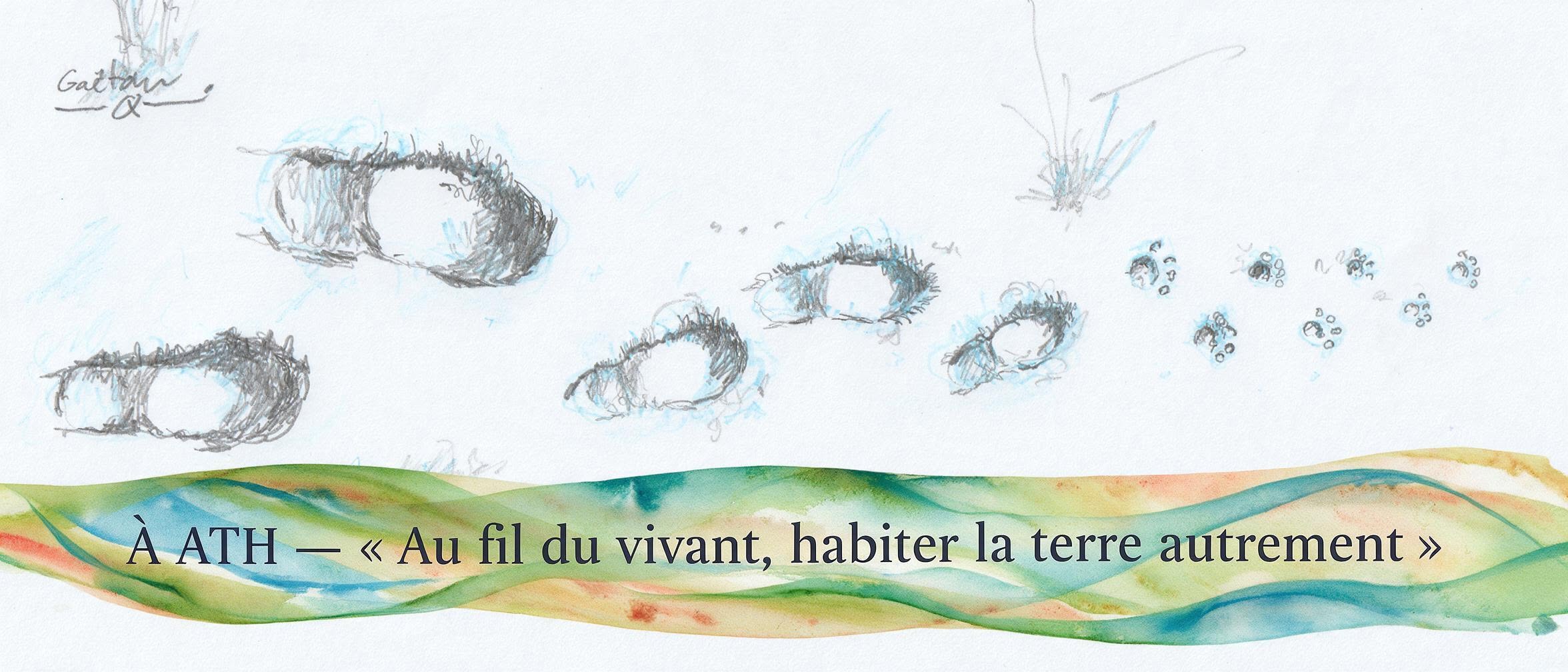 au fil du vivant